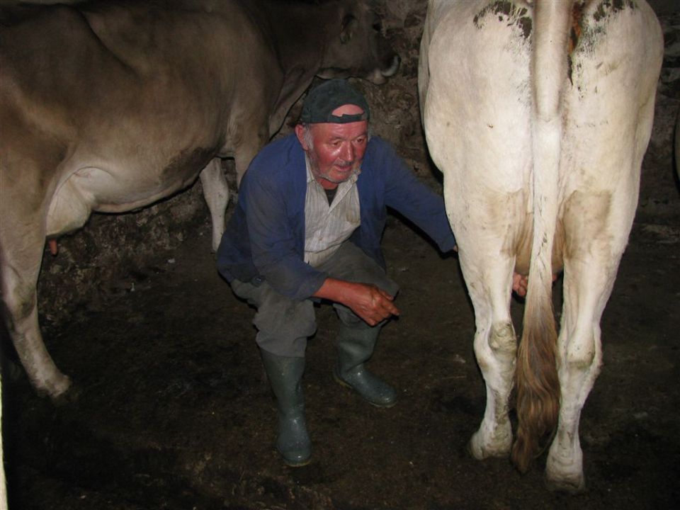 PLANINA MEDRJE - foto povečava