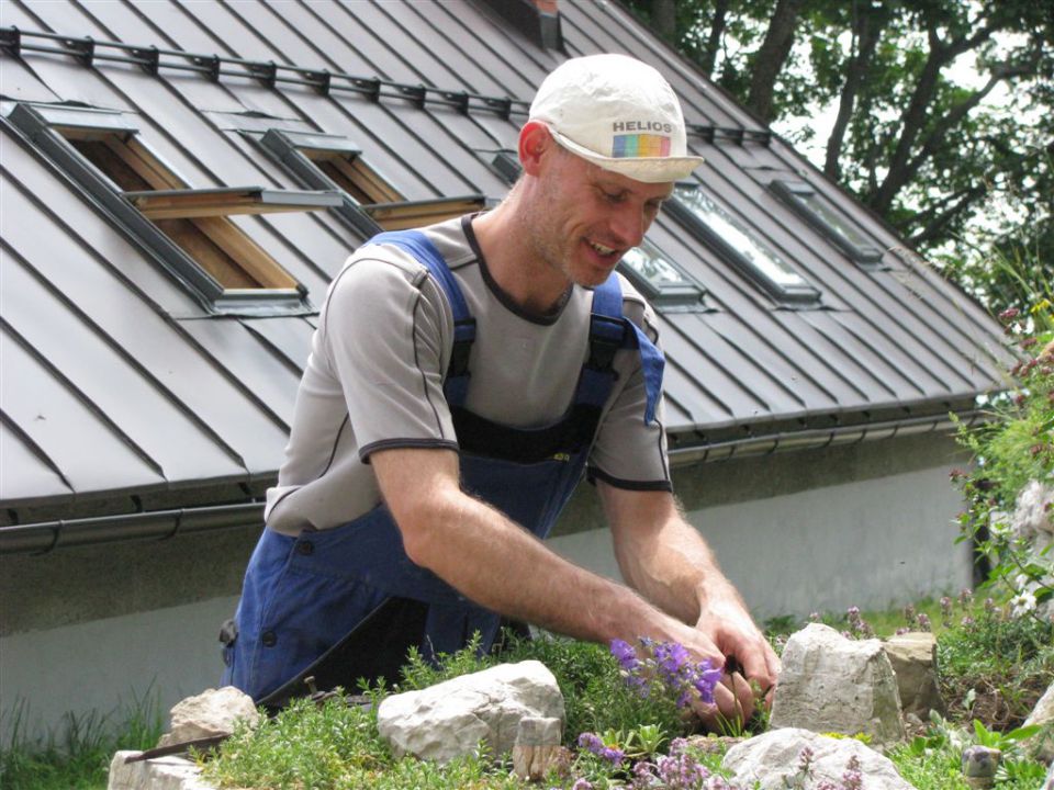 Planina sleme - foto povečava