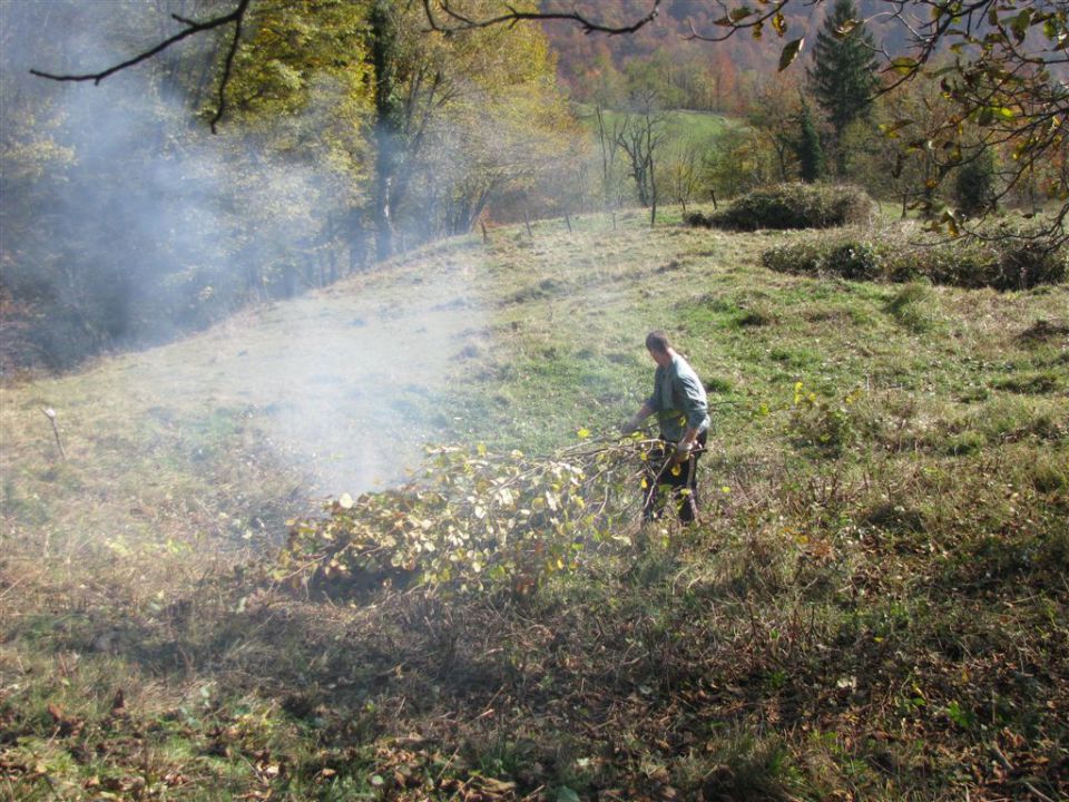 Črče - foto povečava