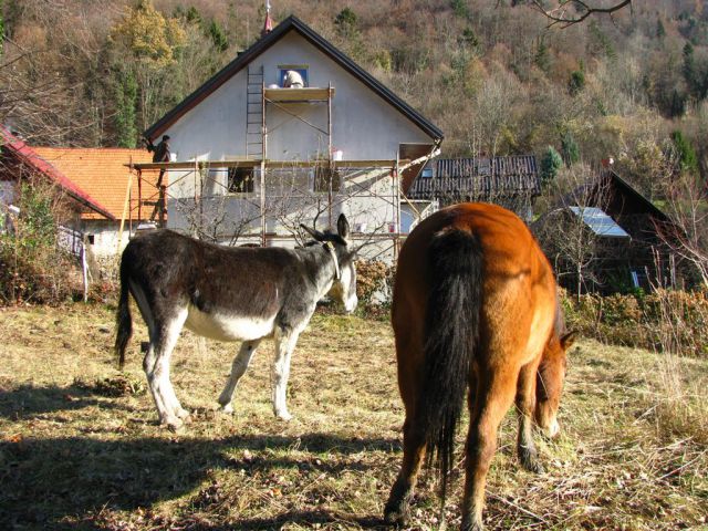 MOJ NOVI DOMEK - foto