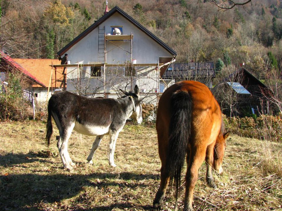MOJ NOVI DOMEK - foto povečava