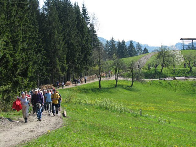 Oglarska pot - iz Ševelj mimo kmetije pr Toma - foto