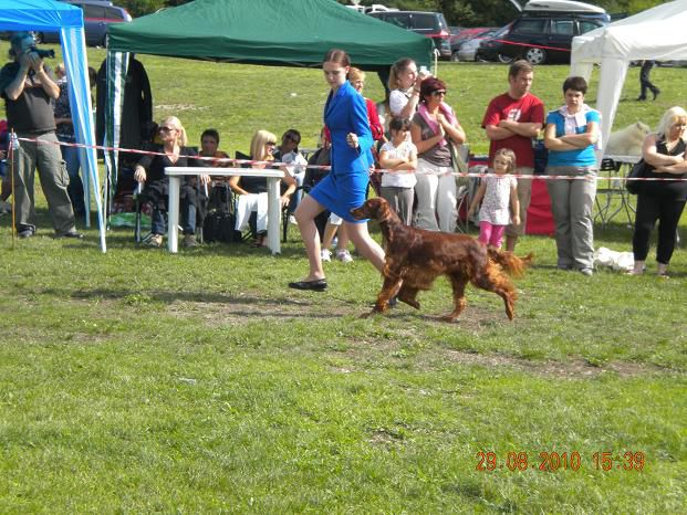 Junior handling - CAC Trbovlje - foto