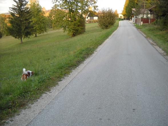 Sprehod po Malem Lipoglavu