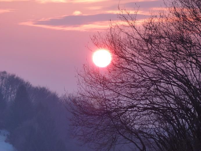 Nove slike od Poppyja, Bonija in Sache - foto povečava