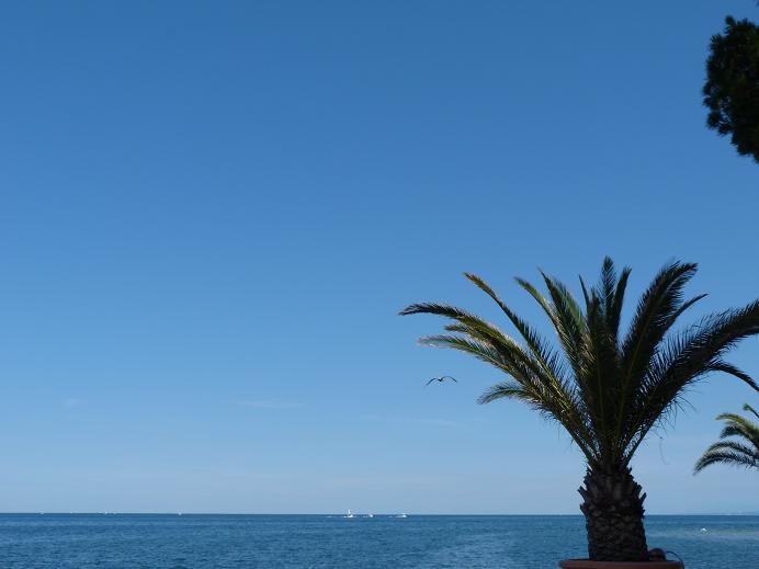 Morje (Izola, julij 2011) - foto povečava