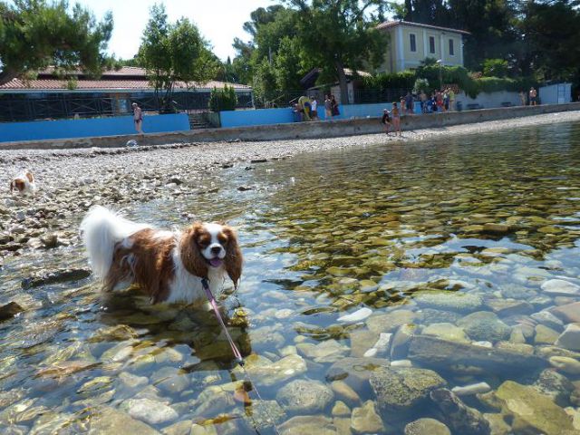 Morje (Izola, julij 2011) - foto