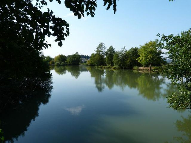 Jezero pri Grosuplju - foto