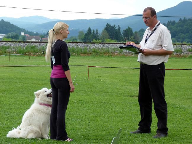 Railly obedience - tekma Grosuplje - foto povečava