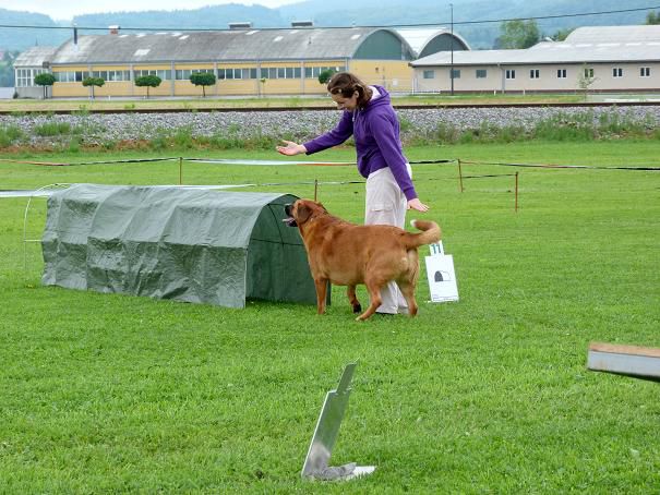 Railly obedience - tekma Grosuplje - foto povečava