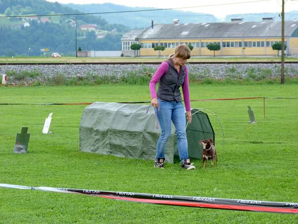 Railly obedience - tekma Grosuplje - foto povečava