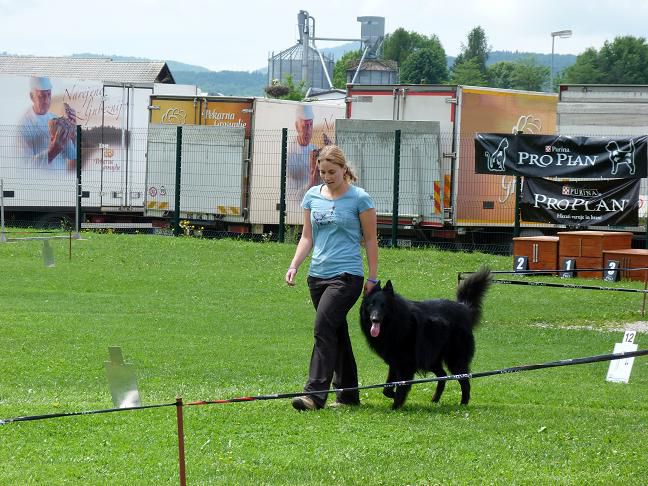 Railly obedience - tekma Grosuplje - foto povečava