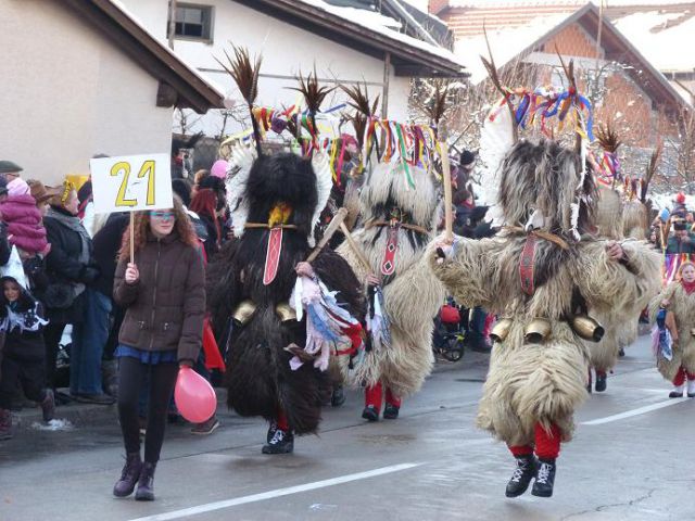 Pust 2013 ( Vir pri Domžalah) - foto