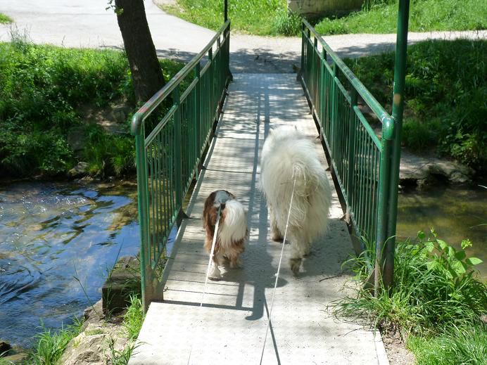 Nove slikce od Poppyja in Kylieja iz 2014 - foto povečava