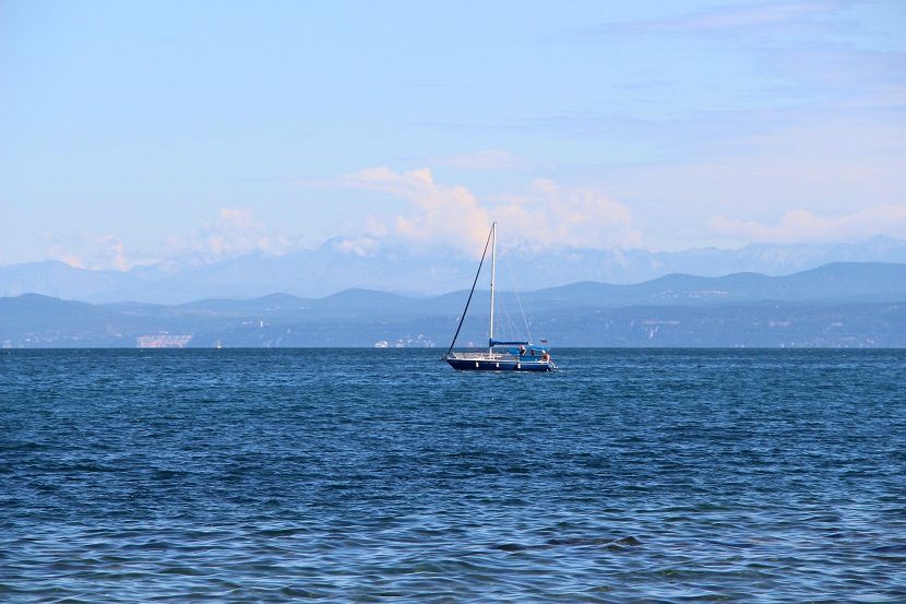 Morje 2014 (Izola, San simon) - foto povečava