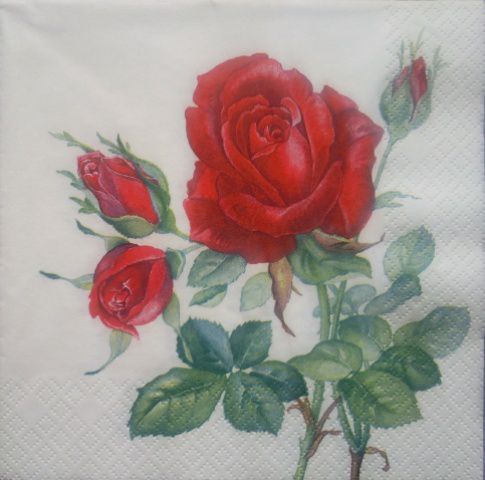 Vrtnice 5