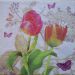 tulipan 19c