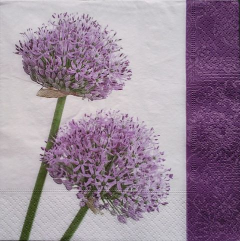 alium 1