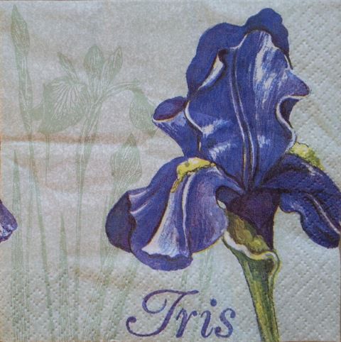 Iris 1c