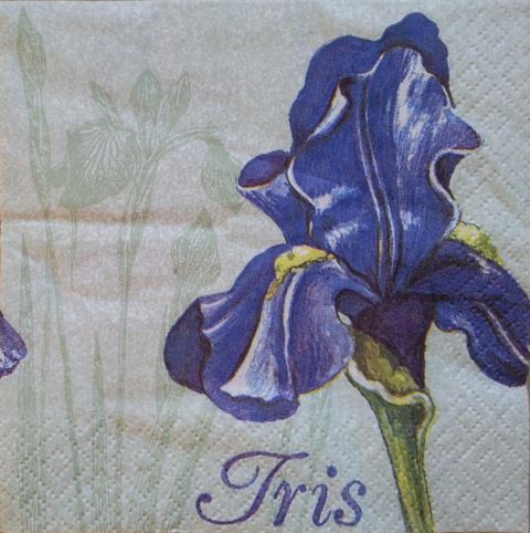 iris 1c