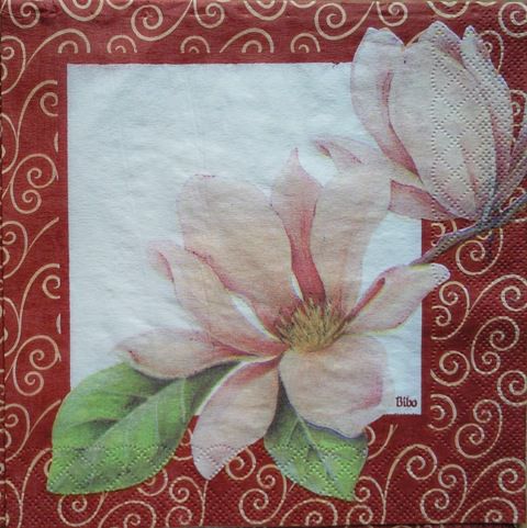 Magnolija 5