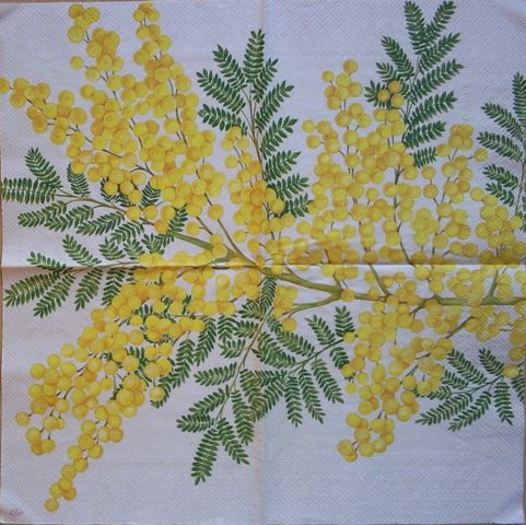 Mimoza 1