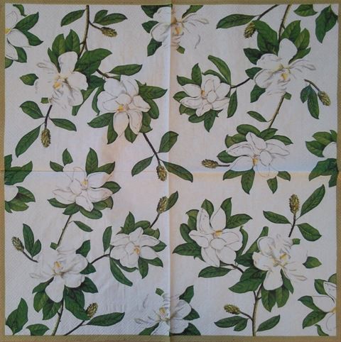magnolija 8