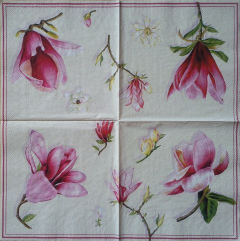 Magnolija 11