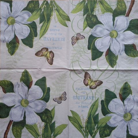 Magnolija 6