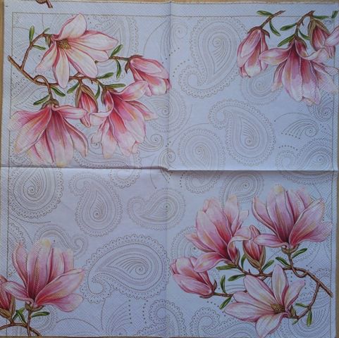 Magnolija 2