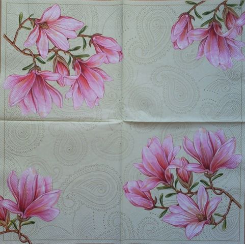 Magnolija 1