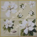 magnolija 15
