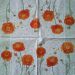 ranunculus 4