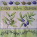 olive 4