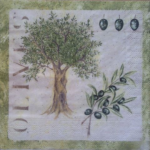 olive 29