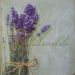 lavanda 9
