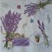 lavanda 19