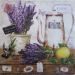 lavanda 15
