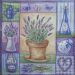 lavanda 26