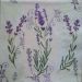 lavanda 28