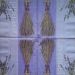 lavanda 6