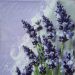 lavanda 37