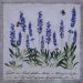 lavanda 40