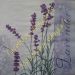 lavanda 44