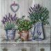lavanda 55c