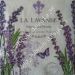lavanda 56c