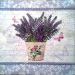 lavanda 59