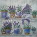 lavanda 54