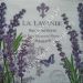 lavanda 56