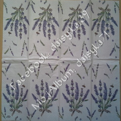 Lavanda 72r